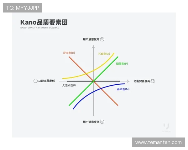 尊龙真人国际：用户体验优化措施与客户服务体系全面解析